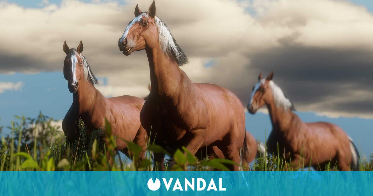 caballo árabe ruano azul