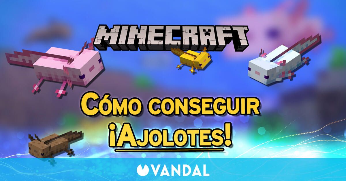 Ajolotes en Minecraft: ¿Dónde encontrarlos y cómo criarlos? – En Cancha