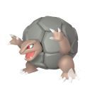 Pokmon Leyendas Arceus - Golem