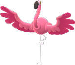 Pok�mon GO - Pok�mon de Paldea de la Generaci�n 9: Flamigo