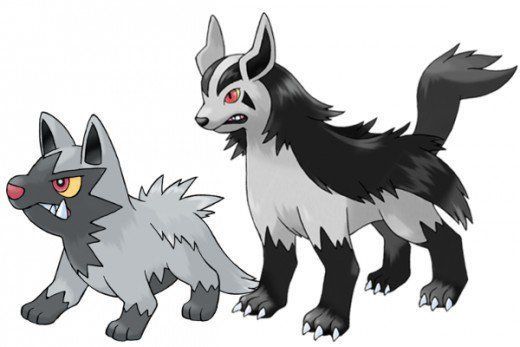 Poochyena y Mightyena Pokémon GO