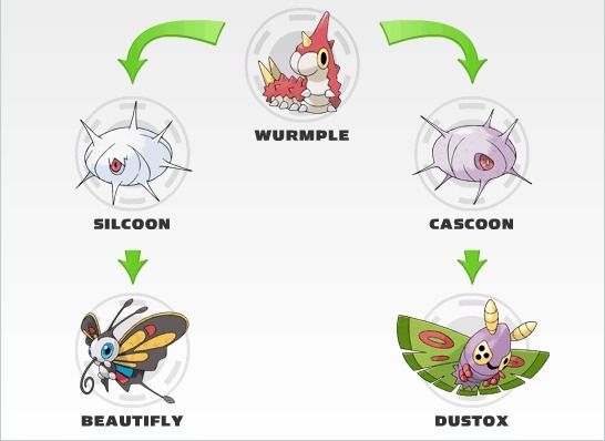 Wurmple, Silcoon, Beautifly, Cascoon y Dustox Pokémon GO