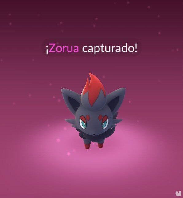 Cmo conseguir a Zorua en Pokmon GO