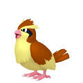 Pidgey en Pokdex Leyendas Z-A