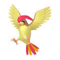 Pidgeotto en Pokdex Leyendas Z-A