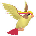 Pidgeot en Pokdex Leyendas Z-A