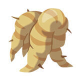 Leyendas Pokmon Z-A - Cmo conseguir el objeto de combate Raz Grande