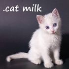 .cat Milk