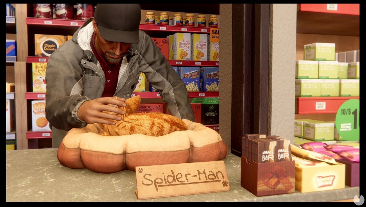 El gato al agua al 100% en Spider-Man: Miles Morales - Spider-Man: Miles Morales