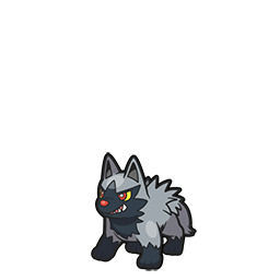 Pokémon Diamante Brillante y Perla Reluciente: Todos los Pokémon Poochyena