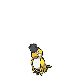 Pokémon Escarlata y Púrpura - Squawkabilly Plumaje Amarillo nuevo Pokémon de 9ª generación