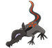 Salandit en Pokdex Paldea