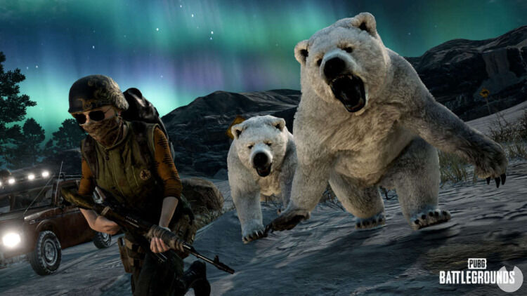 Un NPC de un oso polar mata a un jugador profesional en un torneo de PUBG Battlegrounds. Noticias en tiempo real