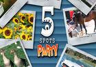 Portada 5 Spots Party