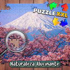 Puzzle XXL: Naturaleza Alucinante