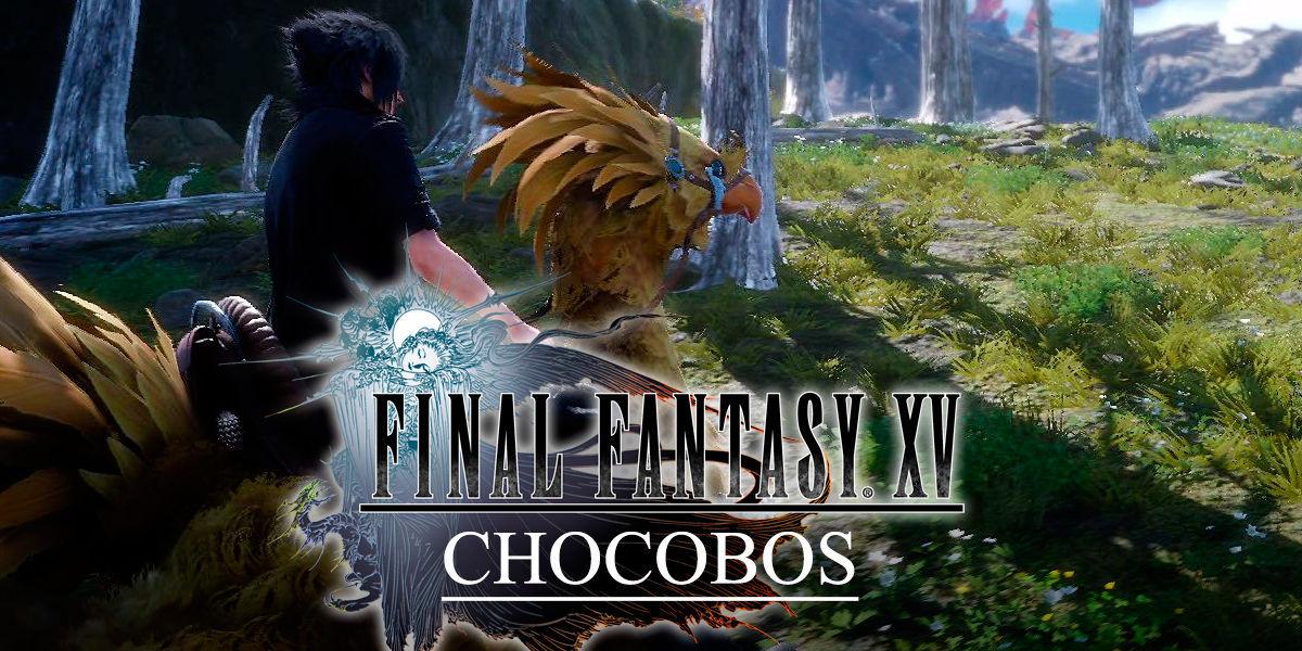 Chocobos en Final Fantasy XV: Todo lo que necesitas saber - Final Fantasy XV