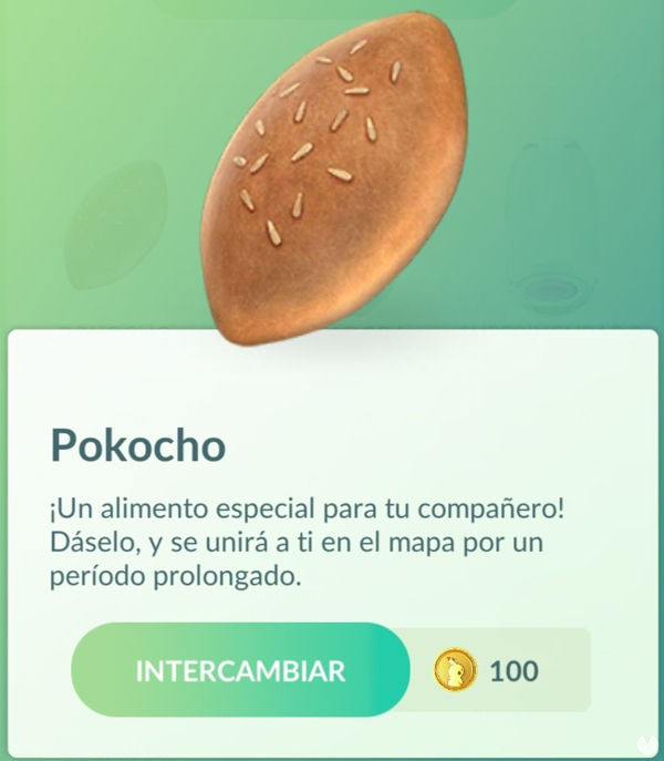 Pokocho en la tienda de Pokmon Go