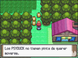 Psyducks bloqueando el paso en Pokmon Diamante y Perla.