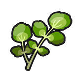 Berros en Pokémon Escarlata y Púrpura