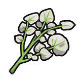 Especia Oculta Salada en Pokémon Escarlata y Púrpura