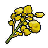 Especia Oculta Ácida en Pokémon Escarlata y Púrpura