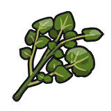 Especia Oculta Amarga en Pokémon Escarlata y Púrpura