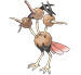 Dodrio en Pokédex Arándano