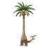 Exeggutor de Alola en Pokédex Arándano