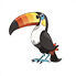 Toucannon en Pokédex Arándano