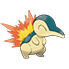 Cyndaquil en Pokédex Arándano