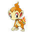 Chimchar en Pokédex Arándano