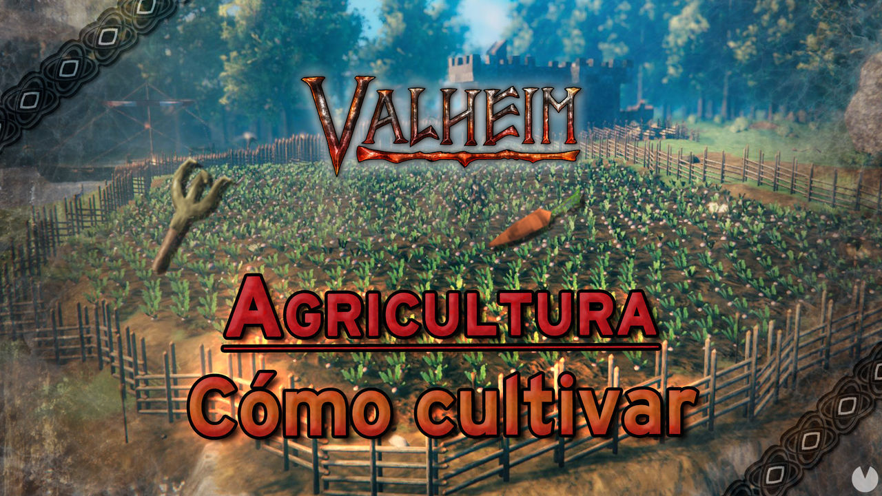 Agricultura en Valheim: Cmo cultivar y plantar semillas en la tierra - Valheim
