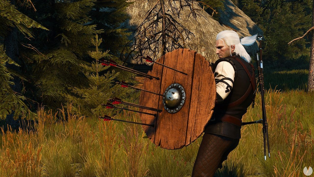 the witcher 3 wild hunt best mods