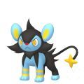 Pokmon Leyendas Arceus - Luxio
