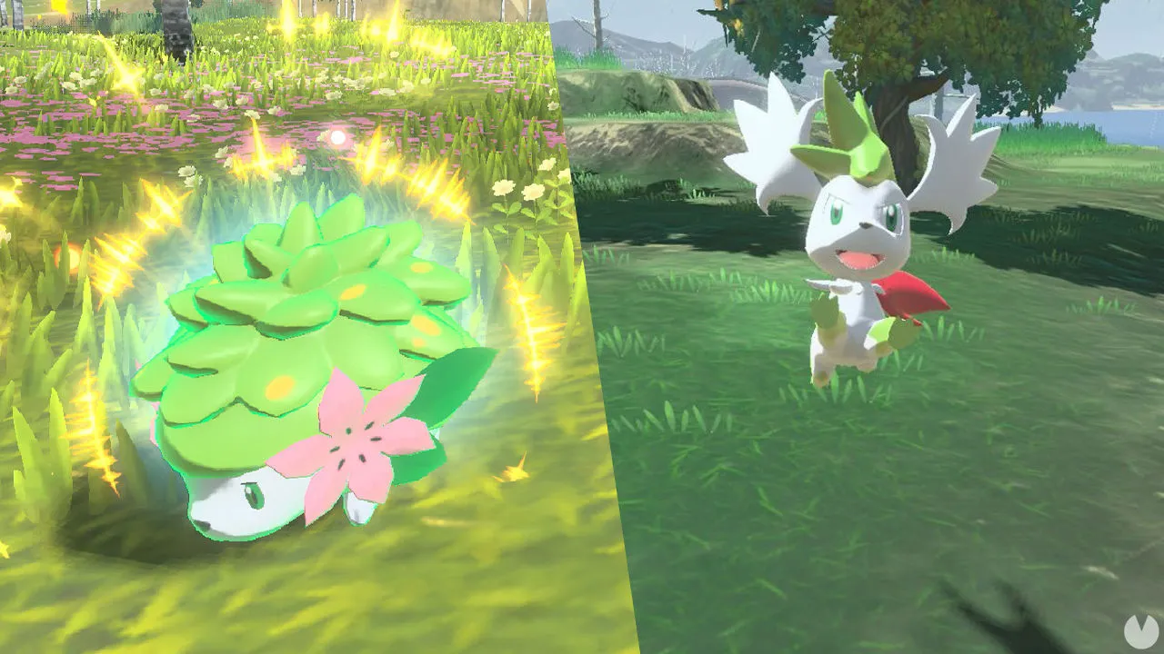 PokéXperto on X: Primeros detalles de Pokémon transferidos de Leyendas  Pokémon Arceus a Pokémon HOME: ➡️ Shaymin Forma Cielo conserva su forma ➡️  Arceus y Formas Origen vuelven a su forma habitual