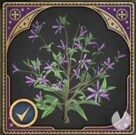 Hogwarts Legacy - Ingredientes: Descurainia Sophia