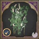 Hogwarts Legacy - Ingredientes: Centinodia