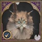 Hogwarts Legacy - Animales mágicos: Kneazle