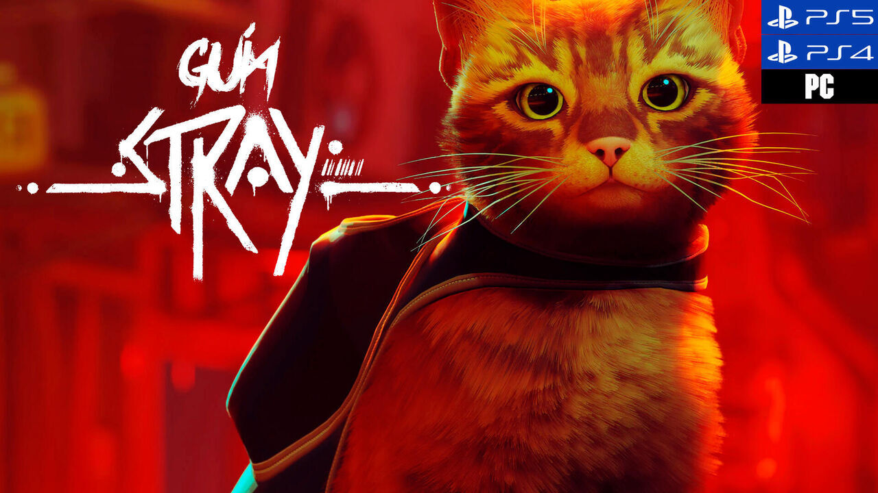 Stray, el juego del gatito, ya está disponible en PS4 y PS5: así