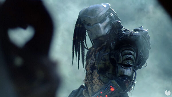 Predator