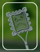 Mario Tennis Fever - Raqueta furor Raqueta Roca Picuda