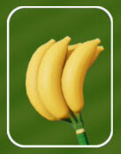 Mario Tennis Fever - Raqueta furor Raqueta de pl�tano