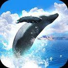 Portada Real Whales