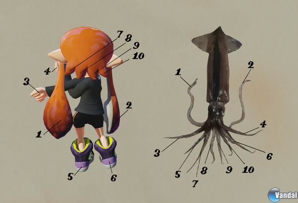 ¿No veis el parecido entre los Inklings y los calamares? Nosotros os lo mostramos, y vosotros le echáis imaginación, ¿vale?