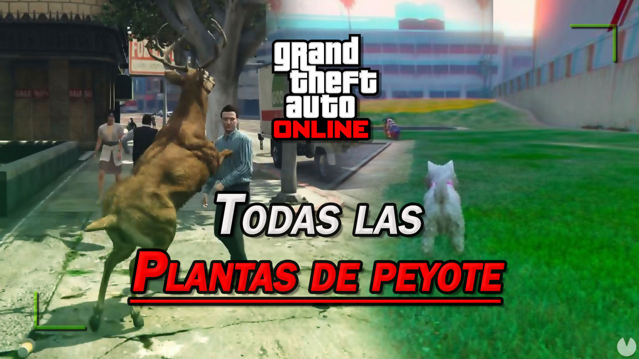 GTA Online: TODAS las Plantas de peyote, cmo conseguirlas y transformaciones - 