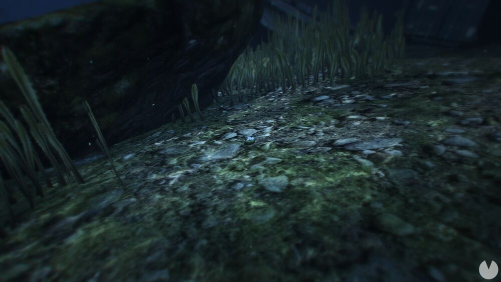 GTA Online: TODAS las Plantas de peyote, cómo conseguirlas y