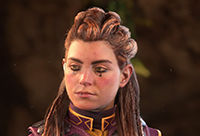 Pintura Vigilante Carga