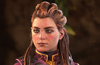 Pintura Halcón Carja