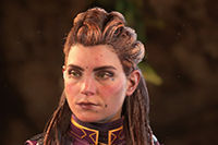 Pintura Blasón Carja