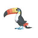 Pokmon GO - Pokmon de Generacin 7: Toucannon